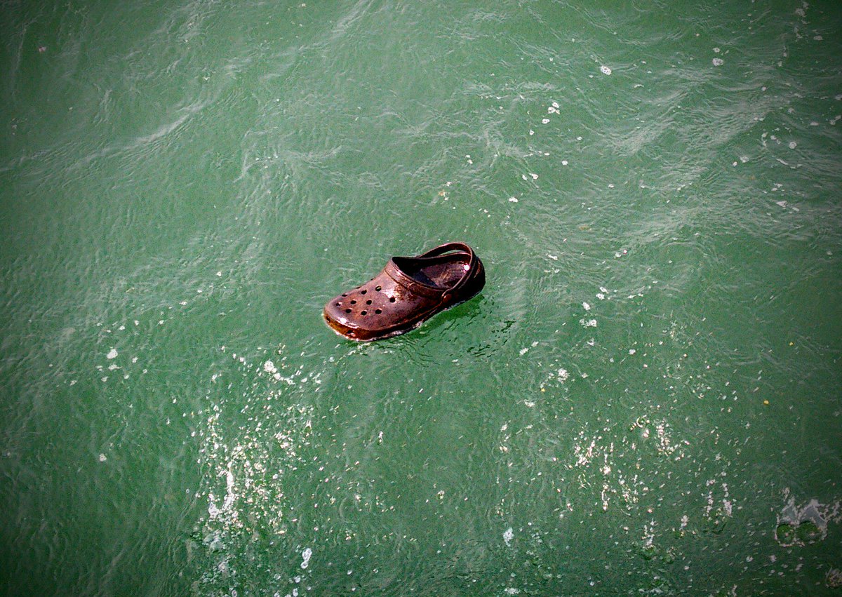HPSMarine's tweet image. BREAKING: Croc found in #LakeOntario.