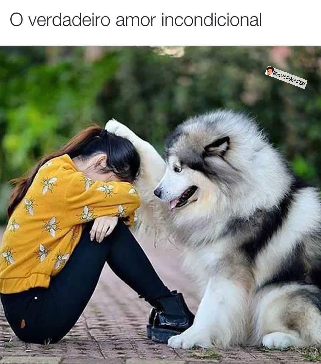 dilminhasincera's tweet photo. O verdadeiro amor incondicional https://t.co/6QQ4CRUzkv
