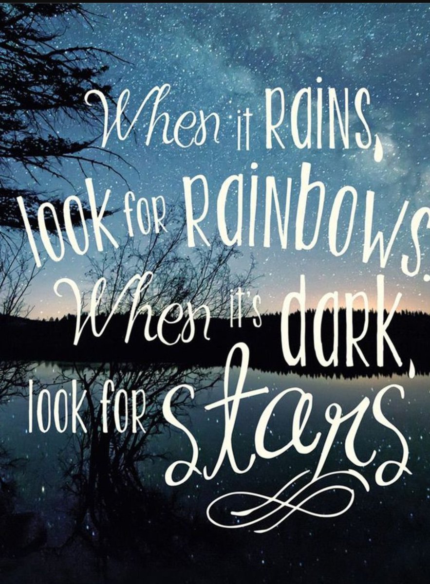 TeamNorth tweet media