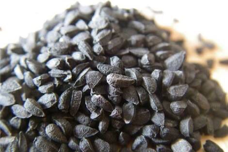 arizonein's tweet photo. Product :  #BlackCumin #NigellaSativaSeeds #Blackseed 
Skype: mitmehta.26
W : https://t.co/C8W1WV2qS2 M +918511177341 #healthcare #haircare https://t.co/Dfcp6Wv27b