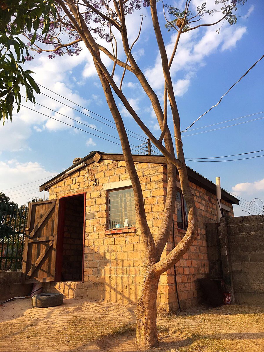 DrBenEvans's tweet photo. ...the site security building that the @SUEngineering Zambia team constructed in 2014 at Mutende Children's Village #StillStandingStrong https://t.co/AhRAIZBE1s