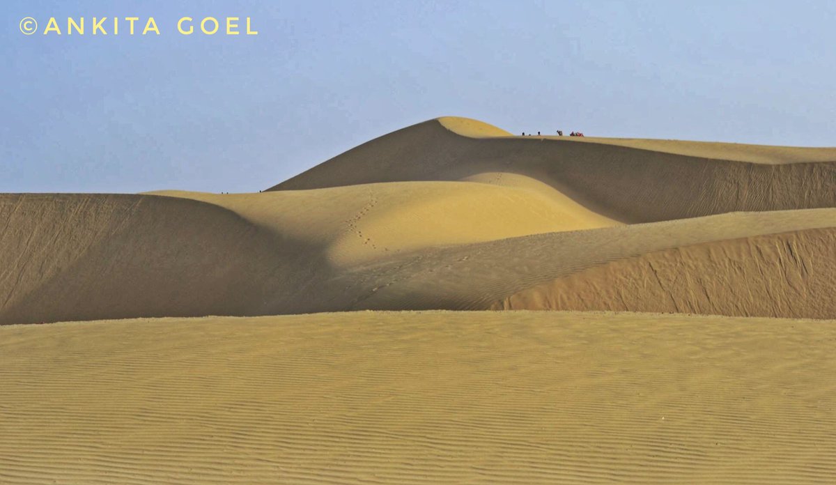 wanderer_panda's tweet photo. Why just mountains or beaches?
#IncredibleIndia #SwacchBharat #IITTM #UNWTO #nikond5300 #jaisalmer
@NatGeoYourShot @incredibleindia https://t.co/GwOF38fuGR