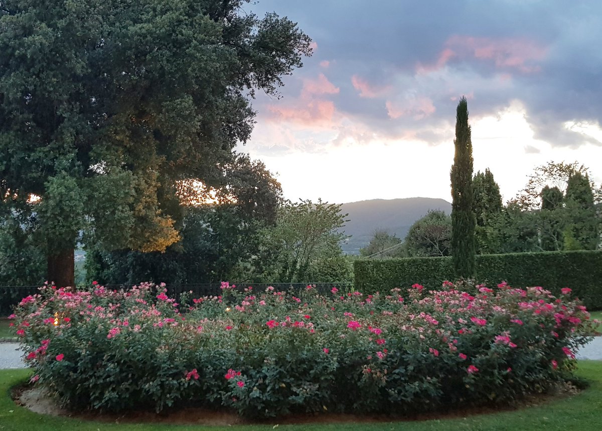 lemascherevilla's tweet photo. La Toscana è un paesaggio magico dove tutto è gentile intorno, tutto è antico e nuovo.
Cit. #CurzioMalaparte
@UNAHotels @ata_hotels https://t.co/QIUQtPDXUu