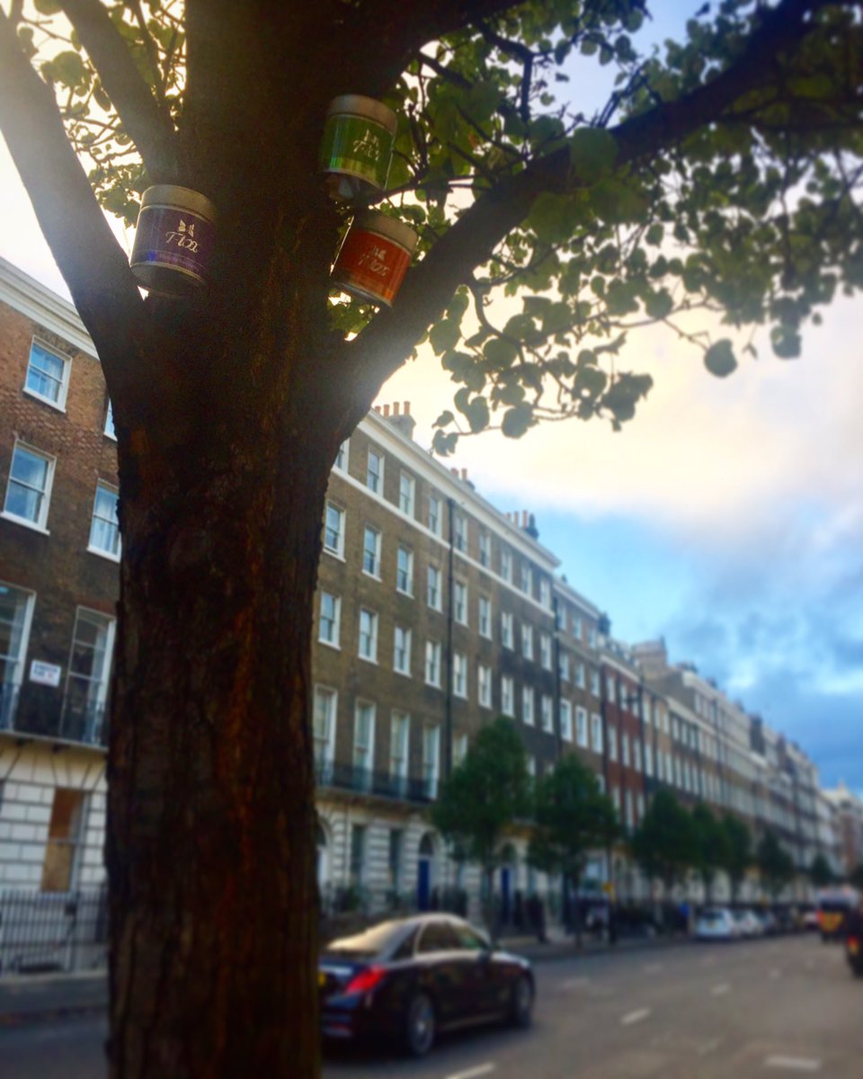 How often do you take time to look up? If you do you may be surprised at what you see! 🍵#matcha #tea #healthylifestyle #slowdown #lookup