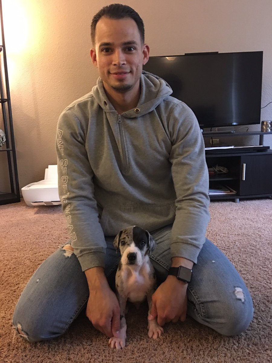 omar_alicea's tweet photo. Welcome home @Logan_TheGiant #logan #loganthegiant #loganator #daddy #greatdane #merlequin #merlequingreatdane #puppy #family #tacoma #usa https://t.co/HBdBLJEcTi
