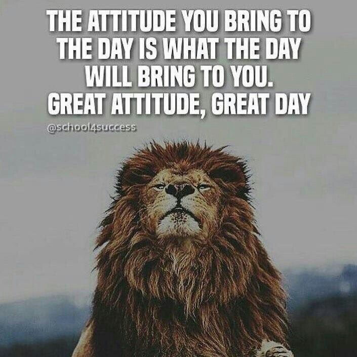 DanRod956's tweet photo. God is good! https://t.co/YcPP2QGKS8