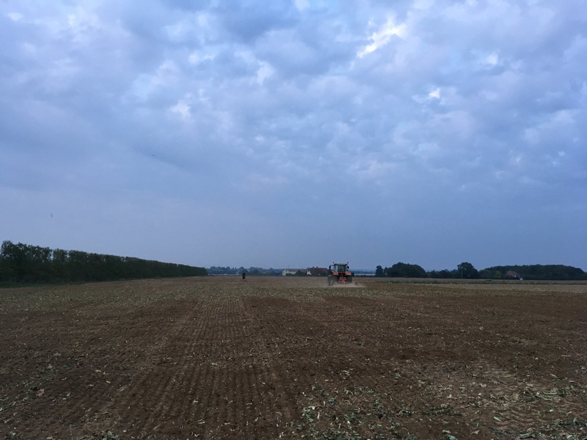 jbdsporting's tweet photo. Ground cleared, grass seed in &amp; boundary going up today #JBDSporting #Progress #JustTheStart https://t.co/Uf230JC7dj