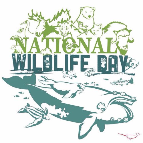 Willow_Talk's tweet photo. #NationalWildlifeDay raises awareness of endangered animals. Please go here for ways to help them: https://t.co/RfLpQnBSlo @NatlWildlifeDay https://t.co/yJYuK2auAb