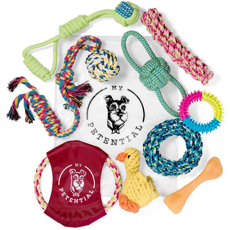 MyPetential's tweet photo. Grab some cute toys for your pups 🐶 https://t.co/ZMXmiqXwBz https://t.co/OuZeLdkxnm