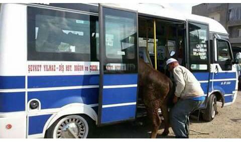 Maalesef Adana değil. BURSA..