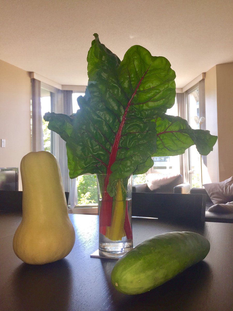_Michelle_Wood's tweet photo. Thank you @deltafarmroots for the beautiful #harvest! #outdoored #farmtotable #productbasedlearning #squash #chard @bmooreintheloop https://t.co/hlK8vNzAl9