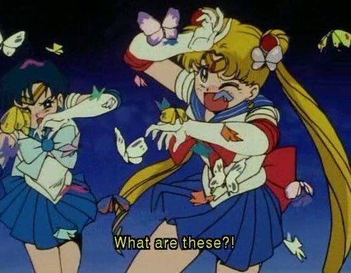 ClassicWeeb's tweet photo. Are there no butterflies in Japan?... Smh https://t.co/2Lo8u0zxCf