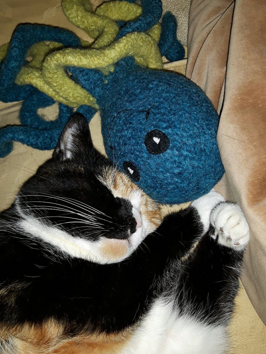 PatchesSeesAll's tweet photo. This is mama: she so looked forward to #Mogyog tonight but she fell fast asleep with JackSparrah ... sorry about that, @MrMoustacheCat ... https://t.co/slLXp35M1j