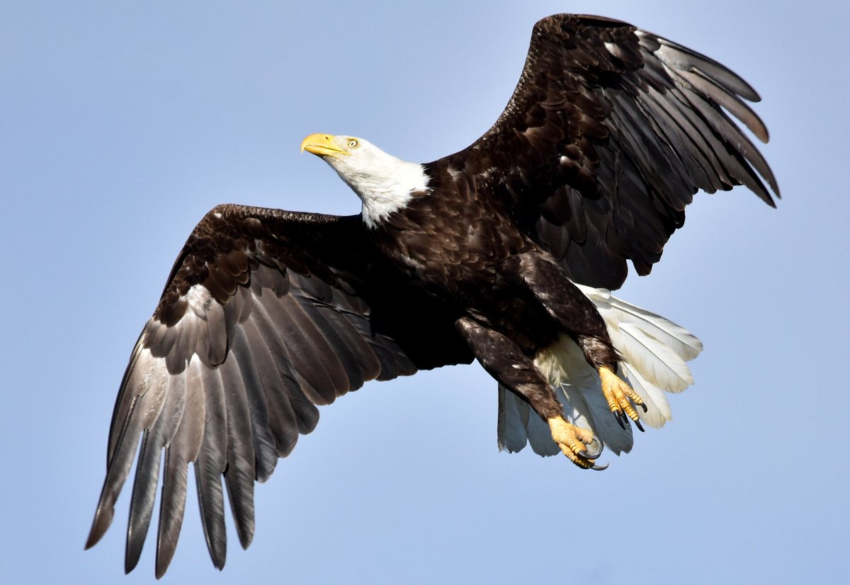 USFWSMtnPrairie's tweet photo. If you love #wildlife &amp; public lands, #volunteer on #NationalPublicLandsDay - Saturday, 9/30/17 - https://t.co/cRFVj9tlKW #NPLD Photo: USFWS https://t.co/W4PtJWKqxm
