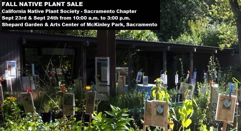 PlacerCountyMGs's tweet photo. California Native Plant Society #CNPS #Calscape to help select #nativeplants by zip code.   https://t.co/jK9mSAk8Wn https://t.co/6PZNnb2ouB https://t.co/Fjre2kf4Q1