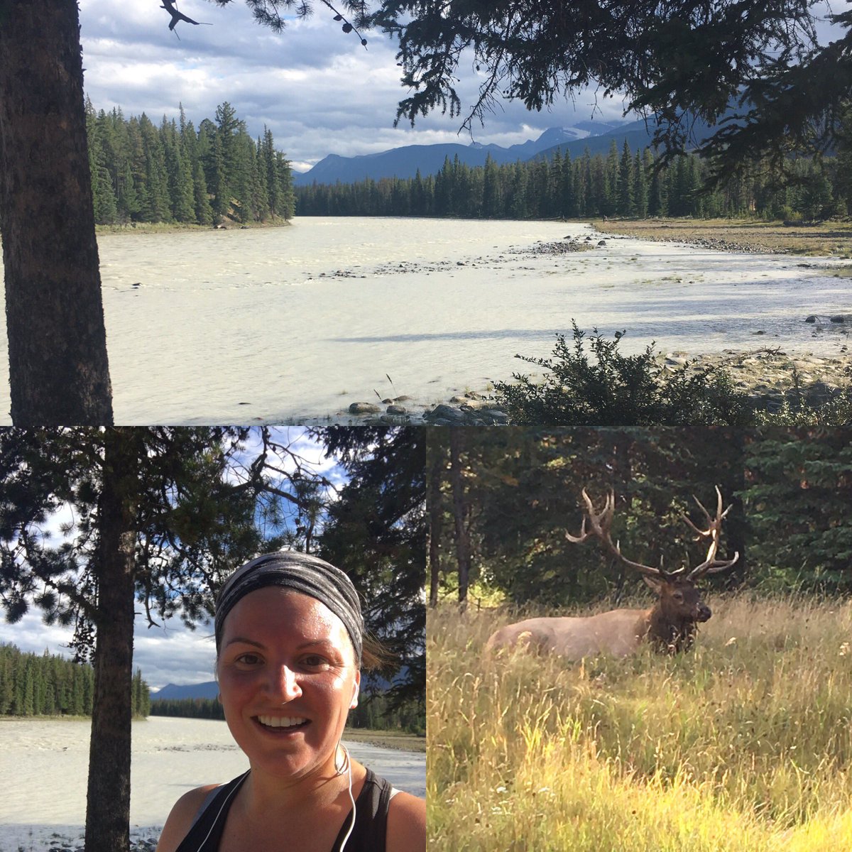 msannabanana1's tweet photo. Beautiful run in the mountains this long weekend! #RUN150 @saucony #jaspernp #elk https://t.co/06m9iDJLRA