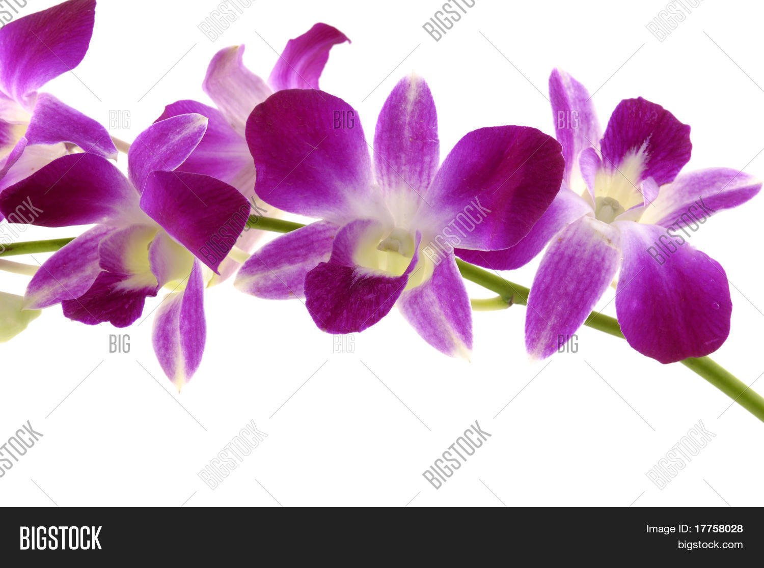  Huge thanks for your beautiful music! Happy birthday and all the best for you! 