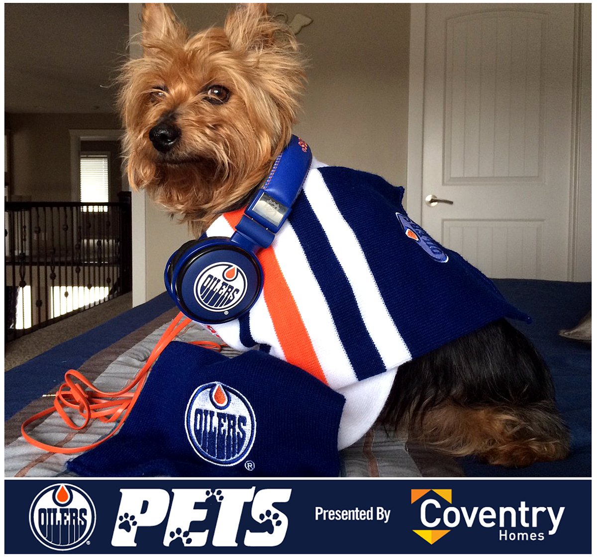 EdmontonOilers's tweet photo. New month = new #OilersPets photo! For every RT &amp; LIKE @MAChiagirl's pupper Zeus gets, @CoventryHomes will donate $1 to @EdmontonHumane. https://t.co/SrHyVUU1DE