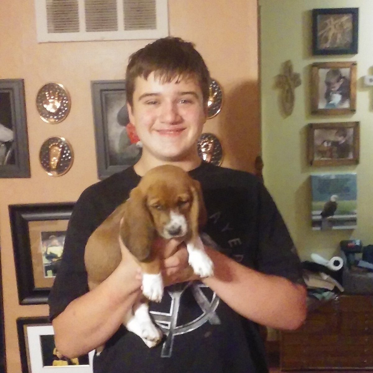 BrockHarper162's tweet photo. I got another new puppy today. Her name is Annie https://t.co/3VeAtQj7eO