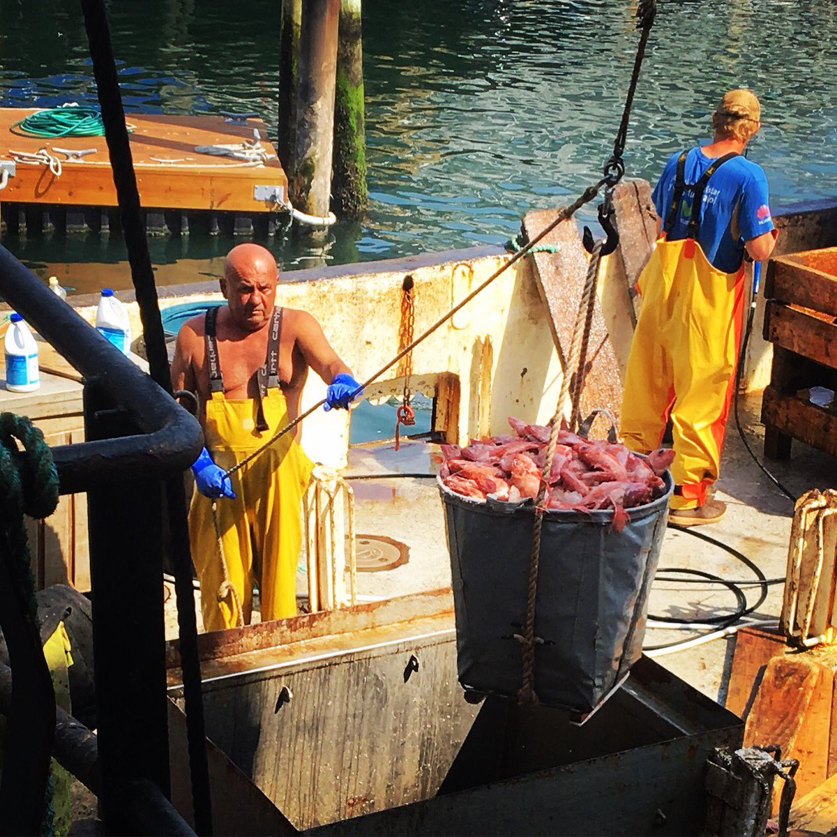 ipswichmedia's tweet photo. Caught them hauling buckets of fresh red fish today over in Gloucester #workingharbor https://t.co/nkW4kceIvc