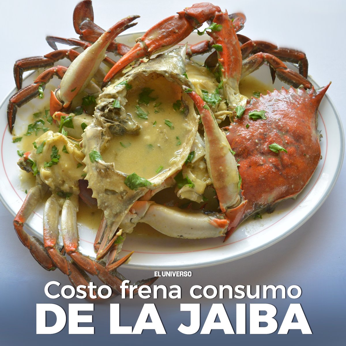 Lista 95+ Imagen De Fondo Fotos De Jaibas Y Cangrejos Cena Hermosa