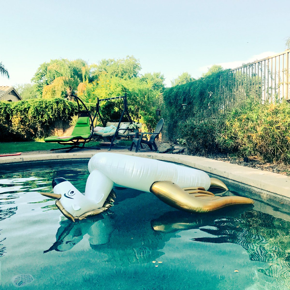 Holly_CliqueMom's tweet photo. ...in case you didn't believe me. ๐ #RIPUnicorn #HeatStroke โ๏ธ๐ฅ https://t.co/ZNwiugVhwl