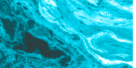 MarbleBotDaily's tweet photo. Robin's Egg Blue swirl https://t.co/pJQ0jd90fu