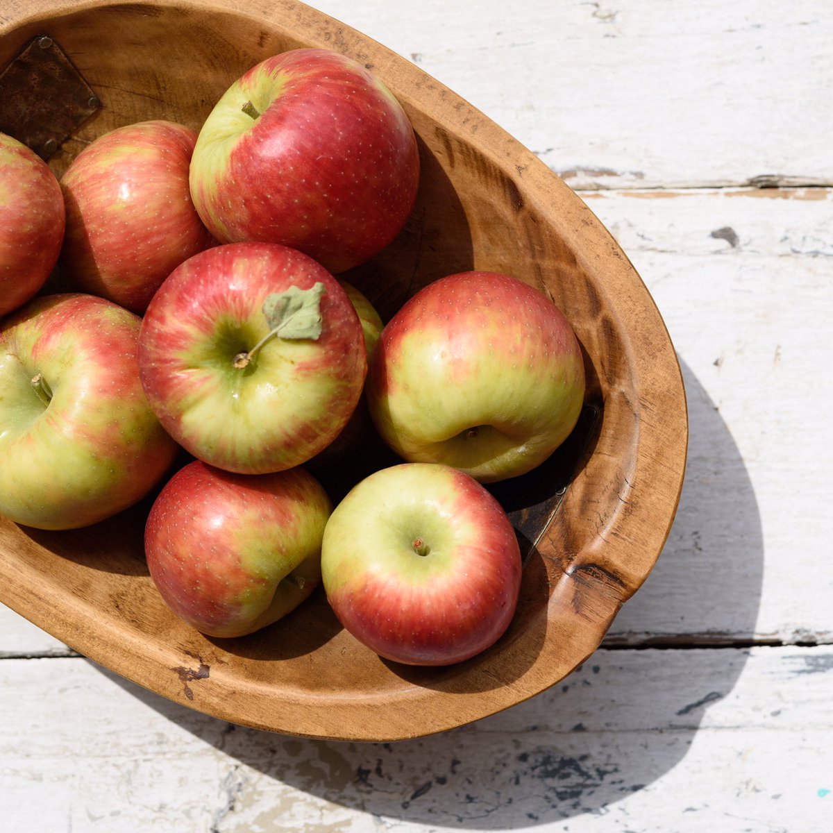 WhiteHouseFF's tweet photo. They're HERE! #Honeycrisp apples will be available Tuesday 9/5/17. Doors Open At 9. 😋#CanfieldFarmersMarket #FavoriteApple #FarmFresh https://t.co/2lZoC2tXjW