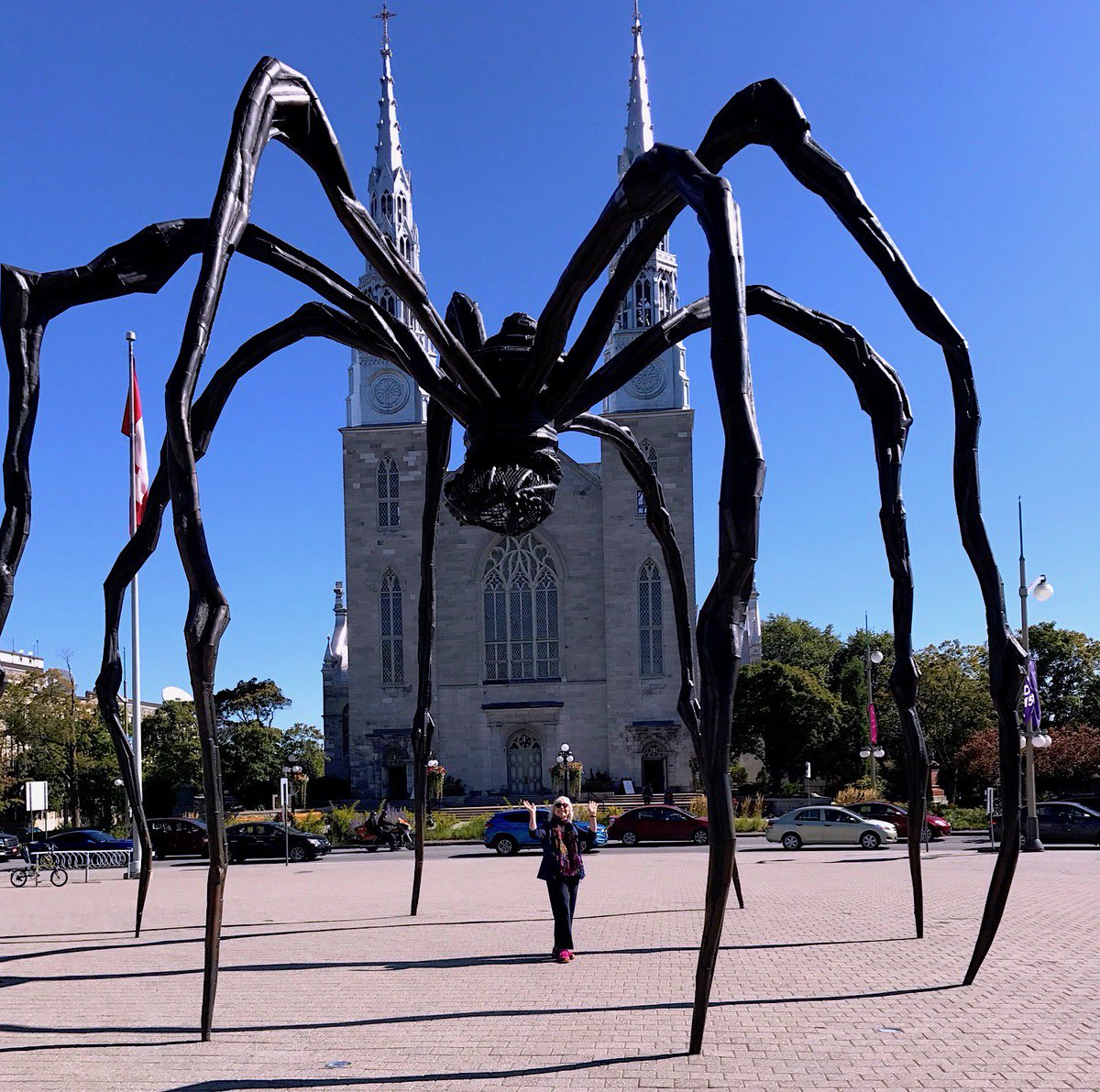 annshaftel's tweet photo. Images @NatGalleryCan #Ottawa spider & wolf spider from #SinclairInn @odellmuseum while I worked on #wallpaintingpreservation @DigiMonastery https://t.co/BhH4IzmXo2