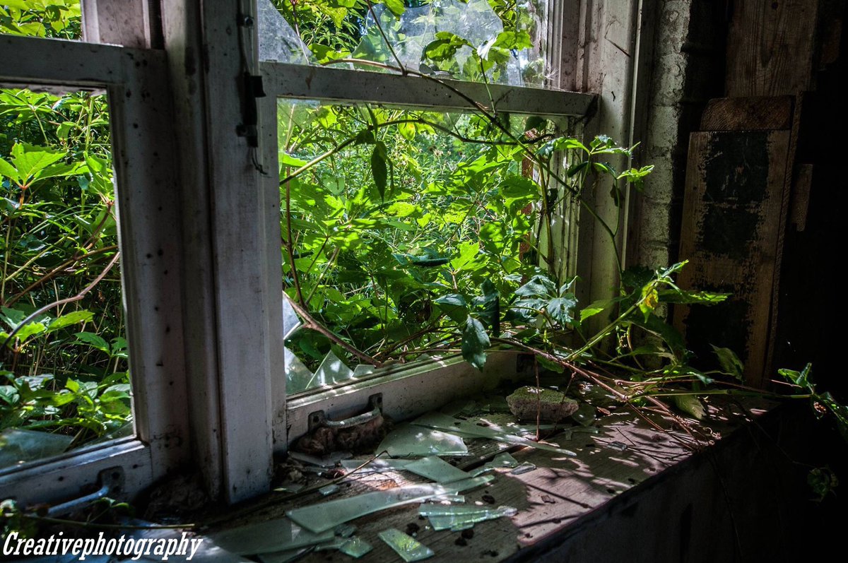 shootsnikon's tweet photo. Nature always takes over #AbandonedPlaces #abandonontario https://t.co/WumZCW09B0