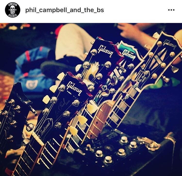 GurusAmps's tweet photo. An #Echosex in good company, making the new @MotorheadPhil's album!! https://t.co/Obl7LPG8I2