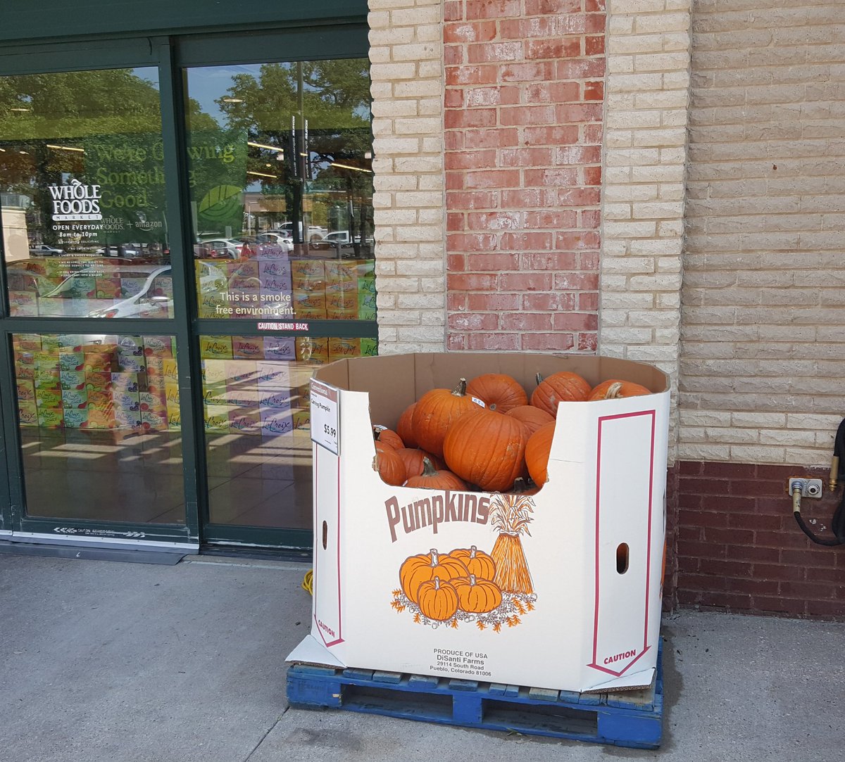 MrsCollins1787's tweet photo. @cevms_ortiz @KXAN_Weather And Whole Foods has "Carving Pumpkins" out! That's it, I'm wearing a cardigan & sipping a pumpkin spice latte on Friday. #FallHurryUp https://t.co/QUSUvglXY3