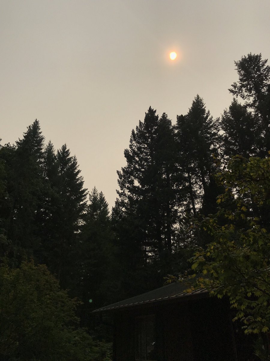 beettlle's tweet image. The smoke here is crazy. Sun looks like the portal. I’m waiting for Gozer the Destroyer. #forrestFire
