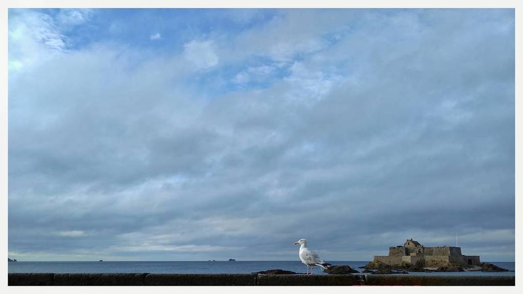 Le gardien du fort

#fortnational 
#saintmalo ift.tt/2x68uia ift.tt/2hiLpjD