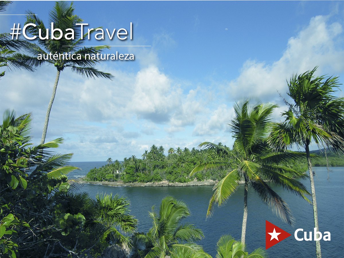 Gtmotravel tweet picture
