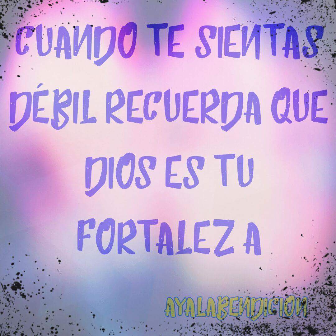 Ayalabendicion_'s tweet photo. #Diosesbueno
Y mientras tengas a Jehová contigo seras fortalecido
Por siempre https://t.co/i0ugZ0WZ3Q