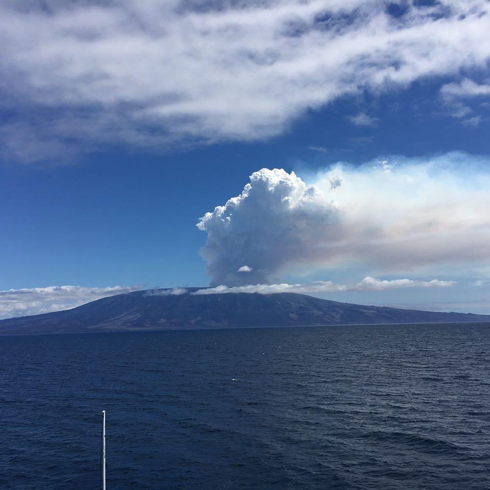 El gigante de la Isla Fernandina, La Cumbre, despierta después de una década de inactividad.

Foto: Sócrates Tomalá
Endeavour II