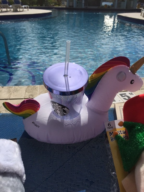 UniverseofUni's tweet photo. Throwback to 12/2016, when I was adopted by my human @JessS1021. 1st trip = St. Lucia! #travel #getfloaty #lifeofuni #water #float #stlucia https://t.co/sbZCQjiYDo