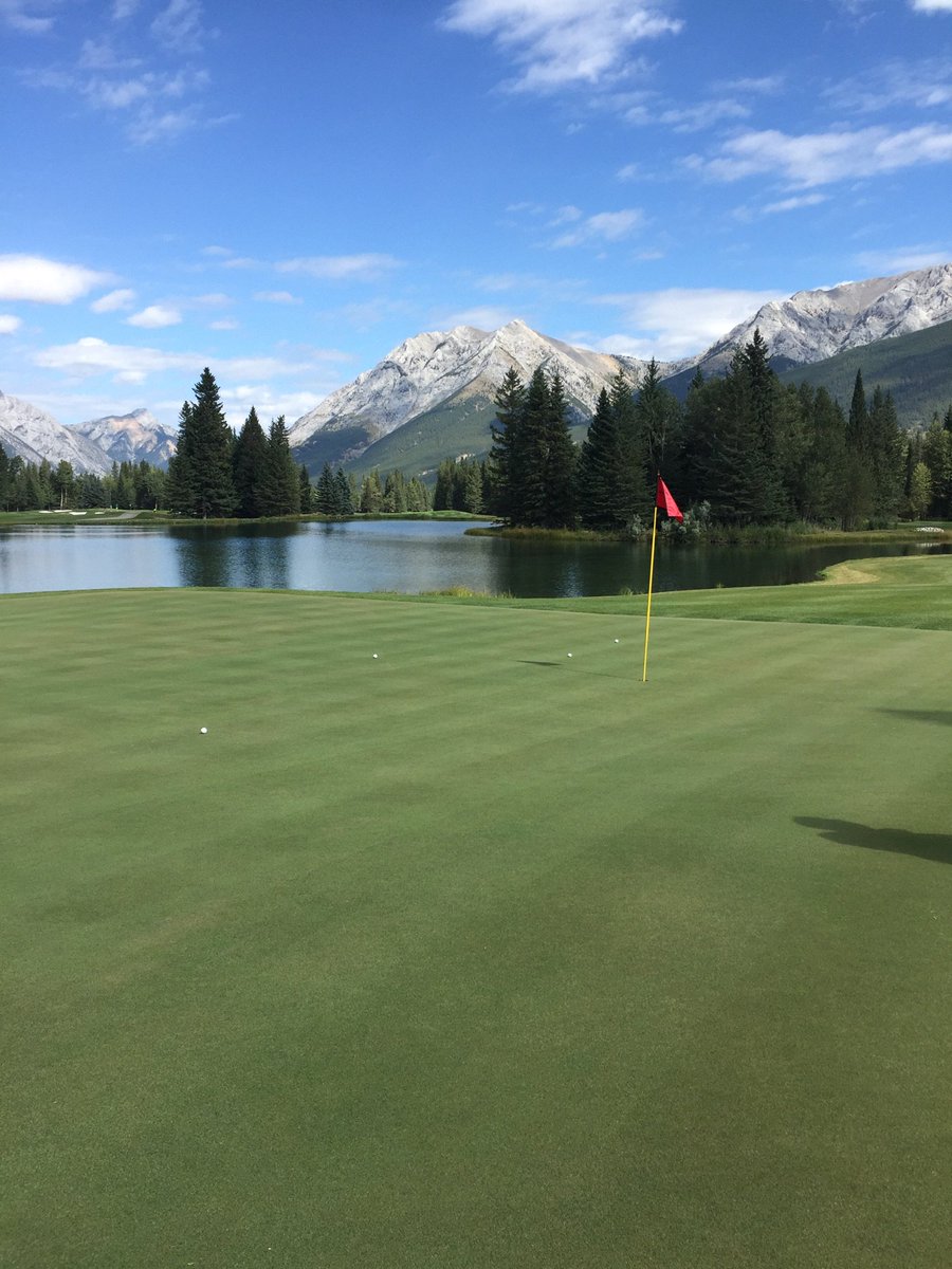 golferguid's tweet photo. The groups tee shots on 6 - 189 yds #playthek #thetips @KananaskisGolf https://t.co/lZlUFkoJDJ