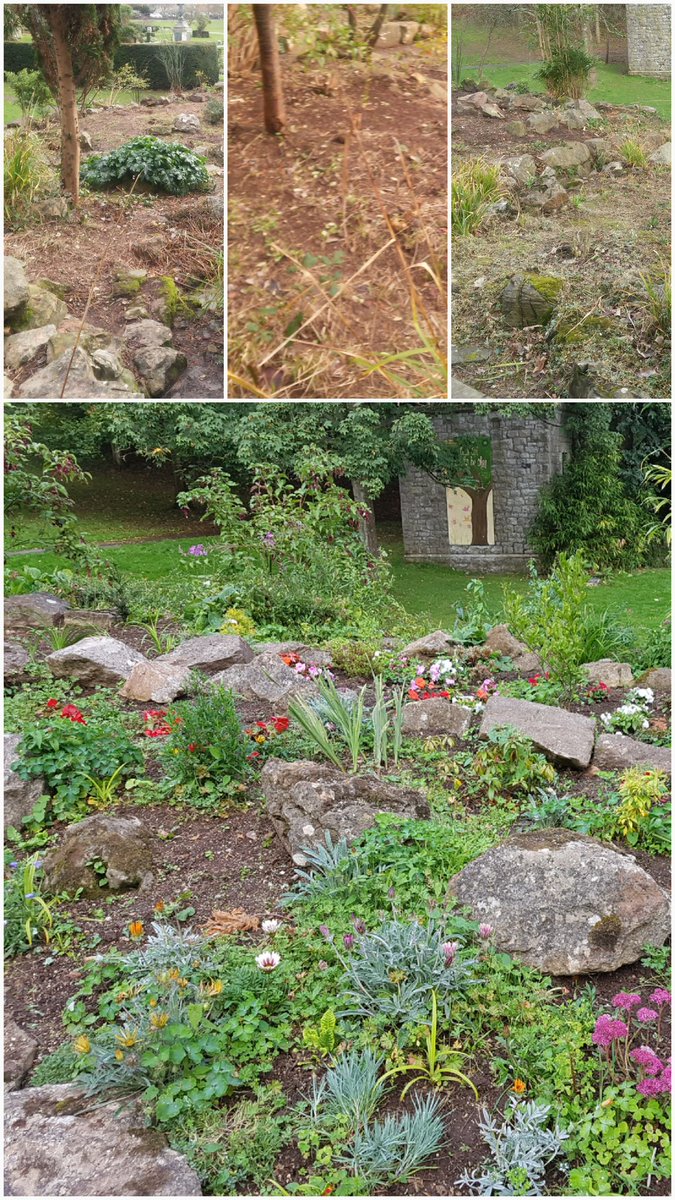 FOGP_WSM's tweet photo. Welcome to our Twitter ! 
Friends Of Grove Park Regular 
Volunteer Opportunities : 
Tues/Thurs/Sat/Sun 2pm to 4pm 
Come &amp; Join Us ! https://t.co/0DhUOgHQCi