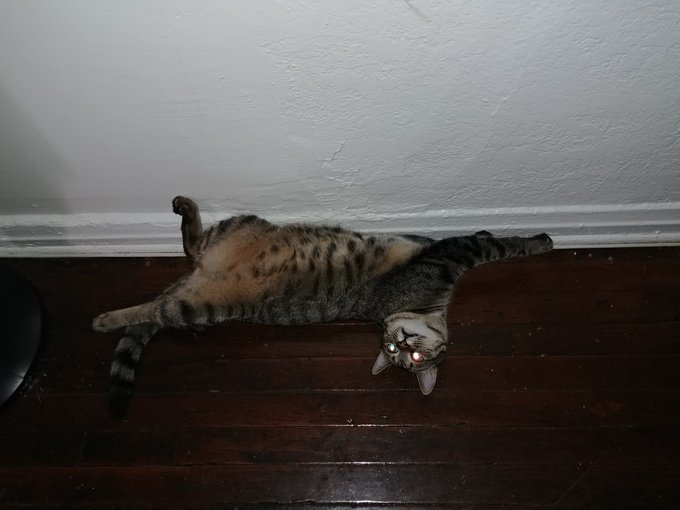 I love him so much. https://t.co/3eBbcFakzo