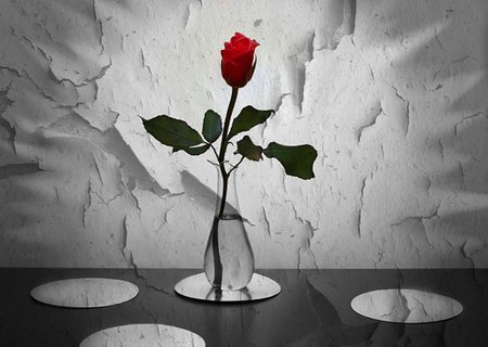 Argentrose1's tweet image. Day 78

One idea can
Change the world for the better;
Create something good.

~~ Argentrose ~~
#haiku #ideas #IdeasCanChangetheWorld