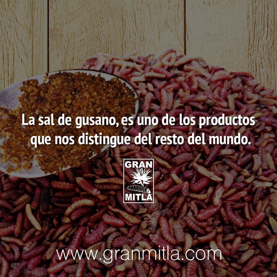 #DeMiMéxicoAmo que existan cosas tan exóticas y deliciosas como la #Saldegusano ,producto que nos distingue del resto del mundo.#AmoraMéxico