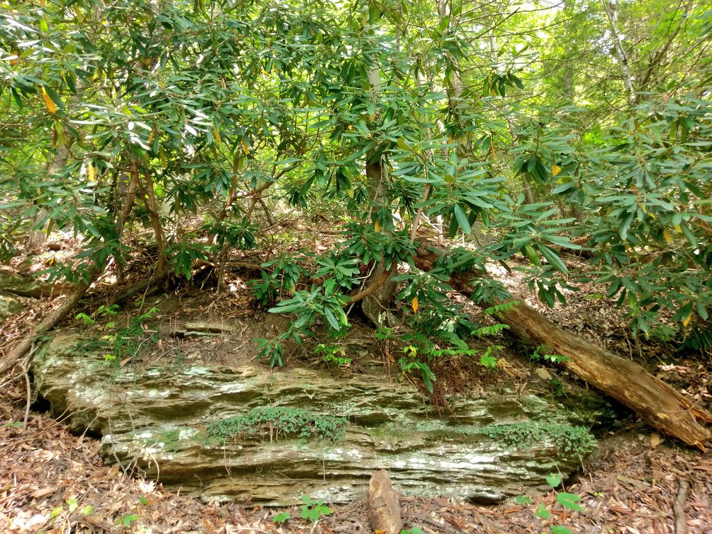 backtoblondie's tweet photo. Goodbye summer, hello fallπ
#swva #LaborDay #wisecounty #wiseva #outdoorswva #vasbaby #Appalachia #hikingvirginia #virginia https://t.co/WEvnzTO2ZI