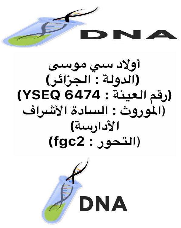 التحور fgc2 السادة الأشراف
التحور الكناني fgc5