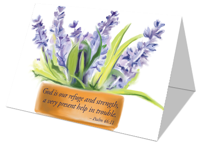 FaithInBloom's tweet photo. https://t.co/DtpSPdUmVC https://t.co/gxJXLeJj4D