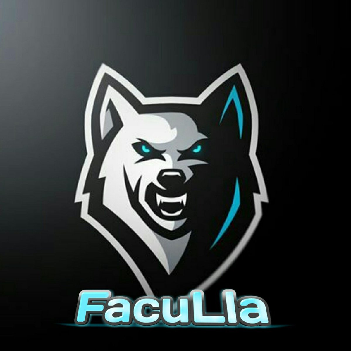 EnzzoLla's tweet photo. #NuevaFotoDePerfilGracias a @Vjoker12  por el logo.. Grandioso trabajo bro ✌ https://t.co/kRE1PI52yv