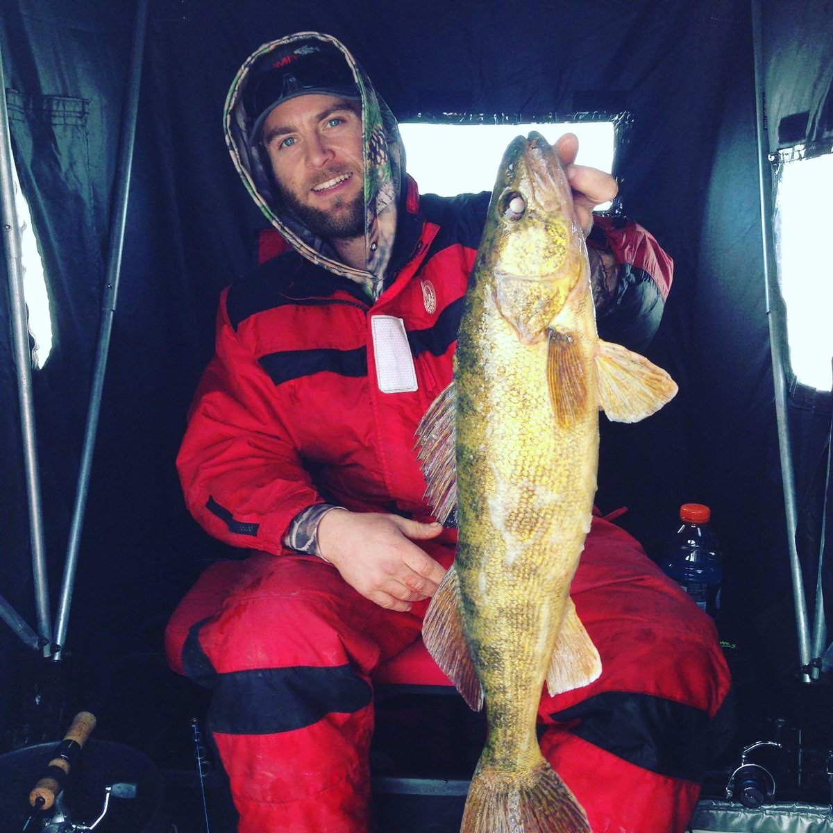 @andrewdrexlerfishing with another #IcePig 

#icepigfishing #walleye #bayofquinte #icefishing #guidelife #specialist
