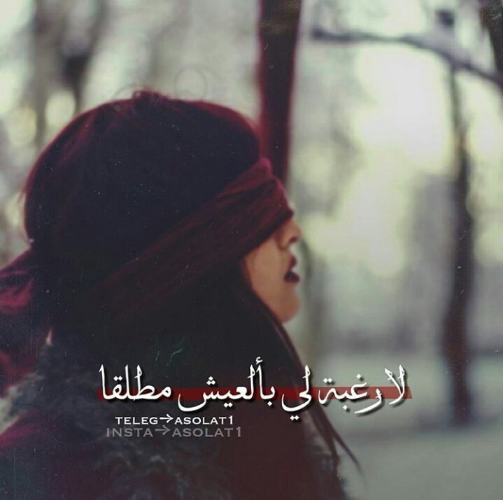 اميرة ابوية (@wetghbnkknnbvc) on Twitter photo 