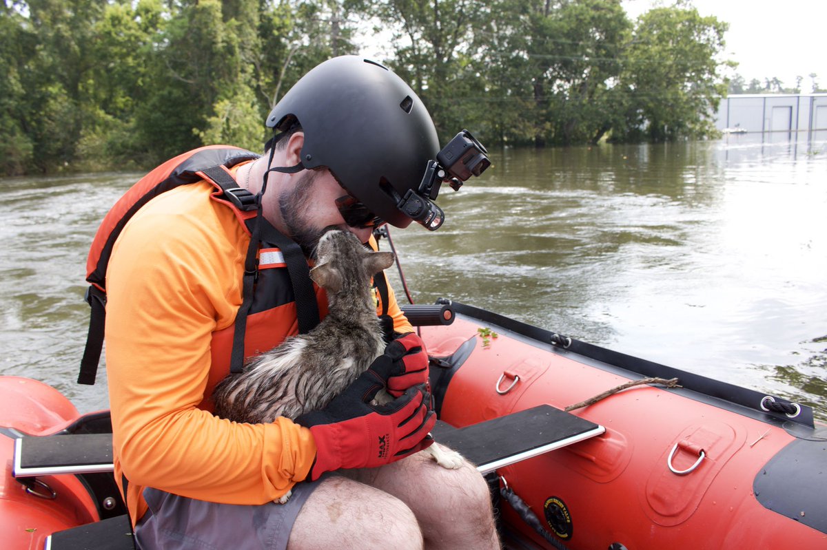 BOTGNGO's tweet photo. Sometimes it's the little things. #bootsontheground #harveyrescue #CatsOfTwitter Help now. https://t.co/CRJHF8hsBj https://t.co/dIBpa9RzYH